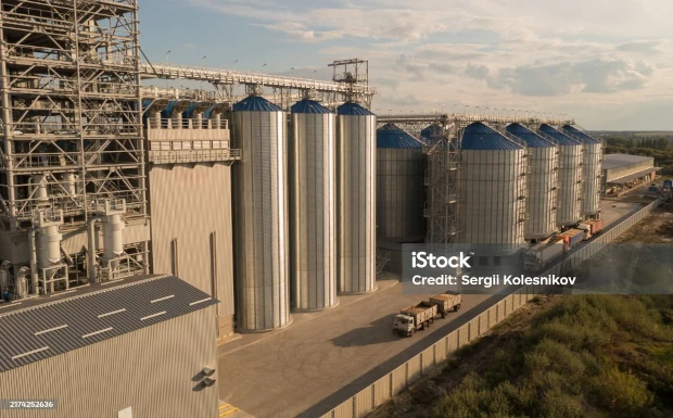 Agricultural processing plant lighting