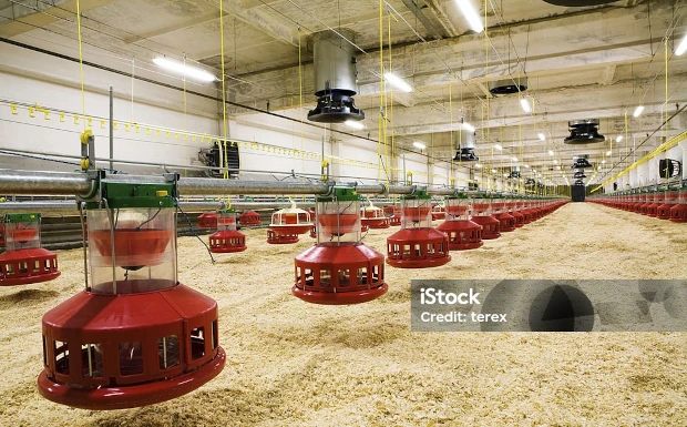 Agricultural processing plant lighting
